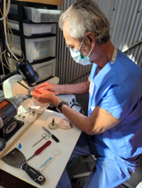 Dr. Darrel Kneupper prepares a denture.